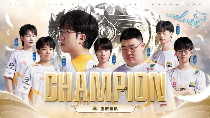 为篮球爱好